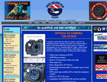Tablet Screenshot of divebelowh2o.com